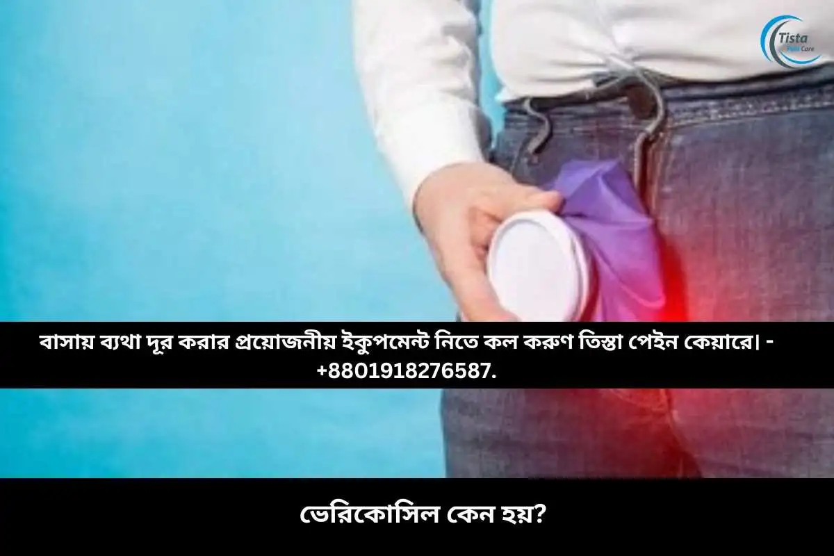 ভেরিকোসিল কেন হয়?